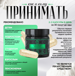Ежовик гребенчатый, плодовые тела lions mane + мицелий, капсулы 60 шт.