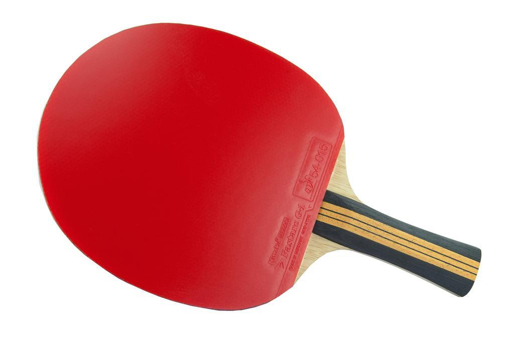 Racket Nittaku Acoustic/Fastarc G-1