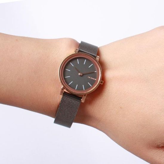 Женские часы Skagen SKW2492