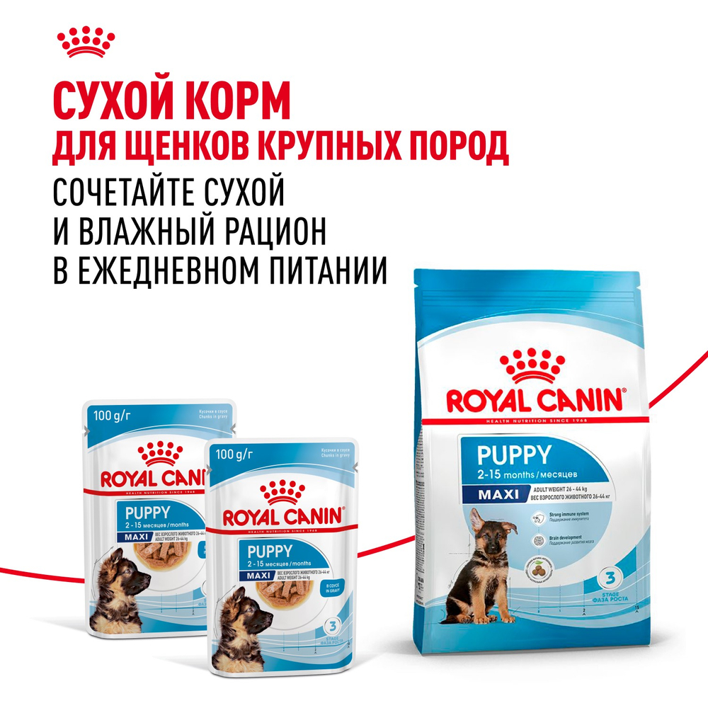 Royal Canin Maxi Puppy Влажный корм для щенков крупных пород в возрасте до 15 месяцев 100г