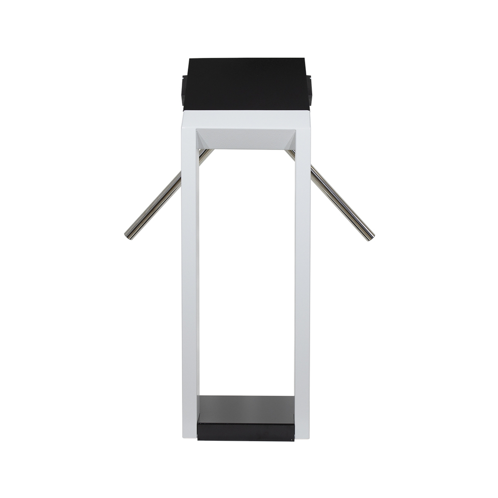 Model L SIGUR (MF) УХЛ 2.1 турникет 3V