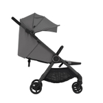 Коляска ANEX IQ Lune (2в1+багги)