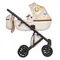 Коляска ANEX e/type 2 в 1 (et-SE04) joy