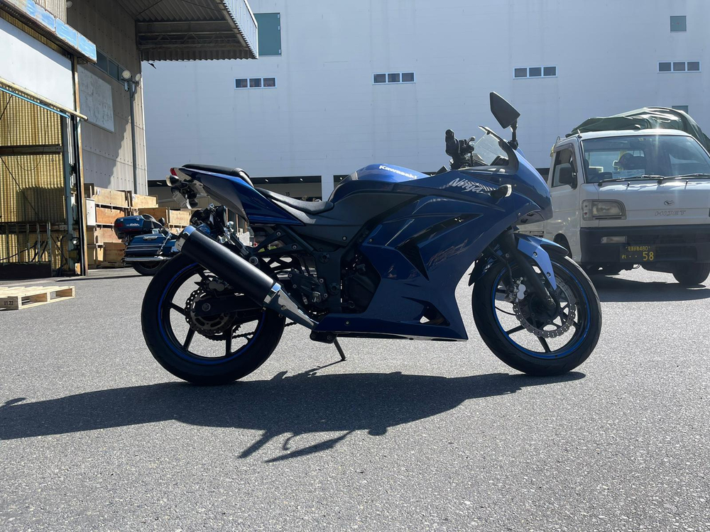 Kawasaki Ninja 250 R EX250K-A36201