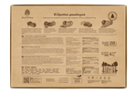 CedarFantazy_box_210_back