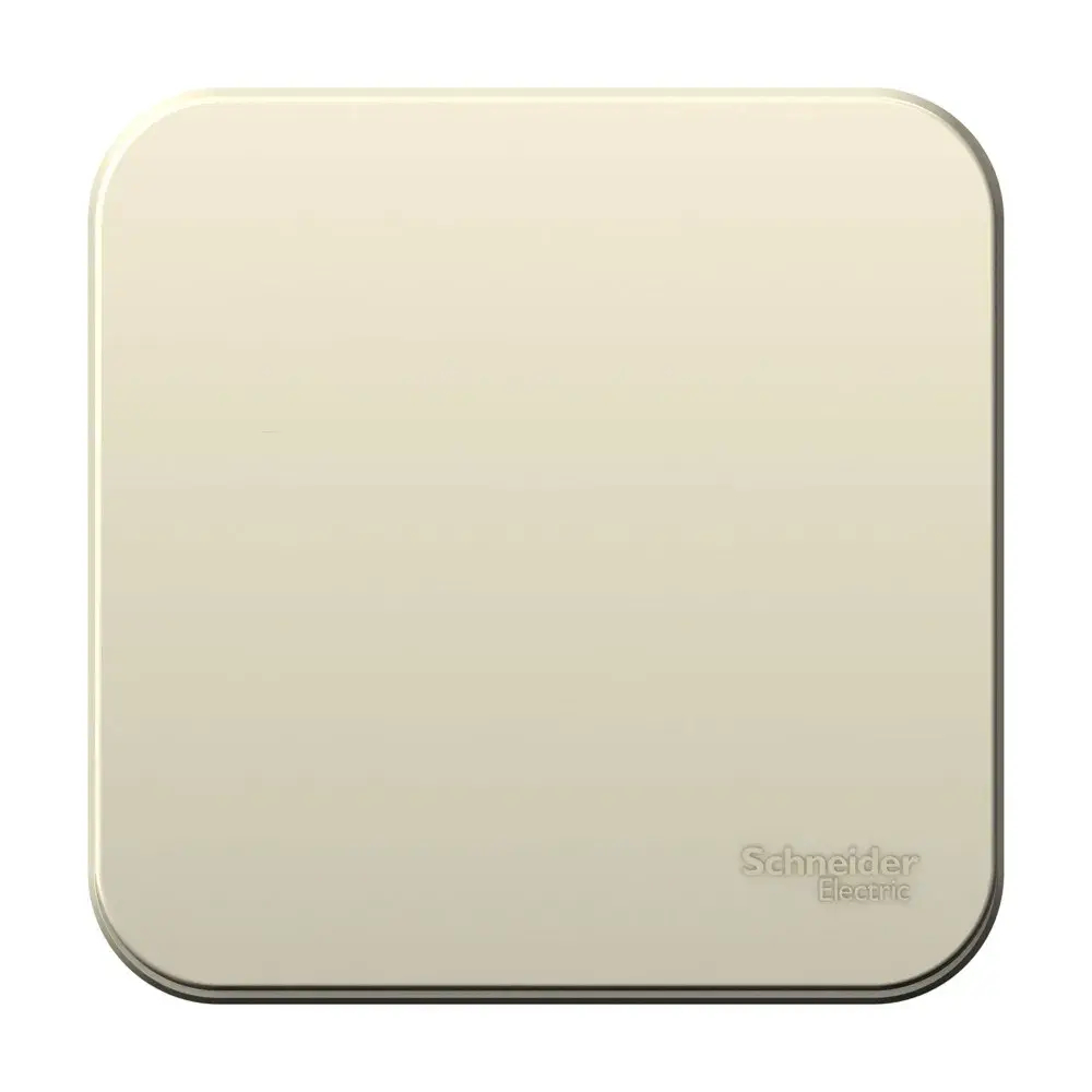 BLANCA О/У 1-клавишный ВЫКЛЮЧАТЕЛЬ (сх.1) ИЗОЛ.ПЛ., 10А, 250В, МОЛОЧНЫЙ