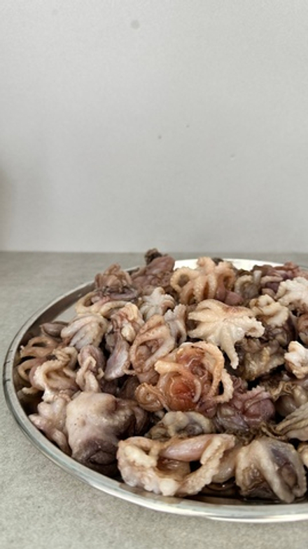 Осьминоги молодые с/м