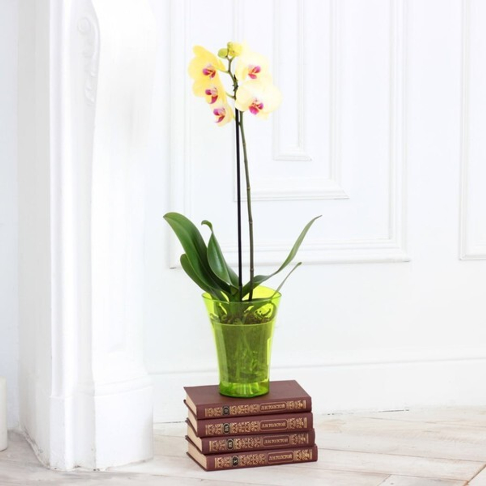 Кашпо для цветов пластиковое 1,3л d-14см «Волна орхидейная» фиолетовый