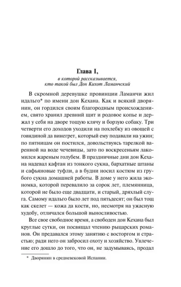Дон Кихот