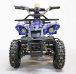 Электроквадроцикл Green Camel Гоби K31 (36V 800W R6 Цепь) ножной тормоз