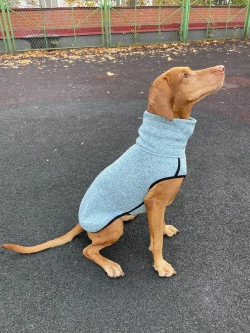 Свитер для собак на молнии попона