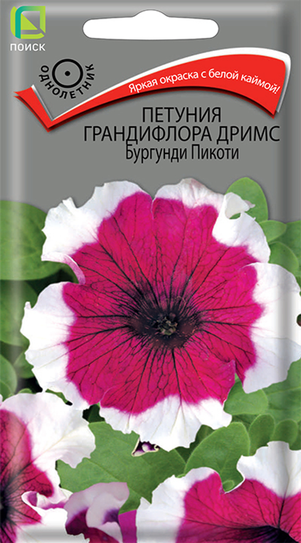 Петуния грандифлора Дримс Бургунди пикоти