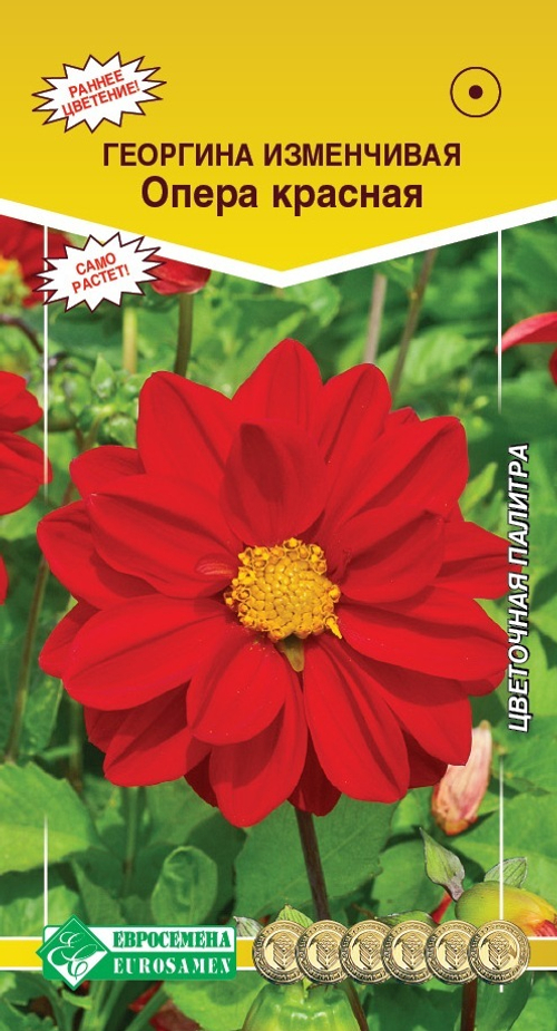 Георгина изменчивая Опера красная