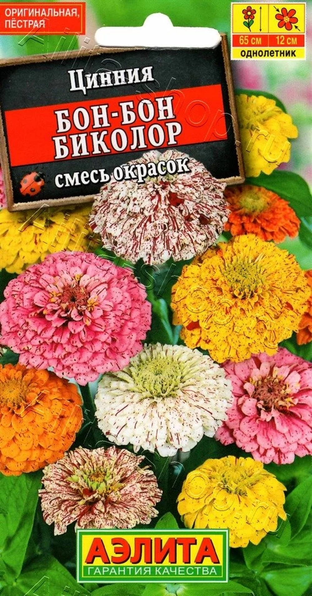 Цинния Бон-бон биколор, смесь окрасок 0,3г (Аэлита)