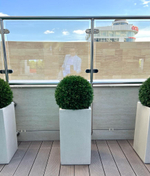 5.23. Искусственные туи в кашпо для ЖК «Development Plaza»