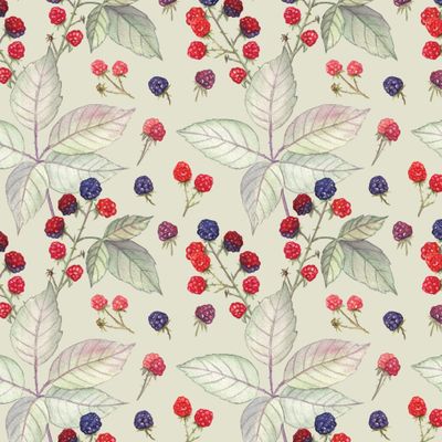 Лесная ежевика. Wild blackberry