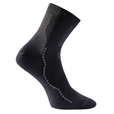 Носки Lasting TCA-900 +5°C+30°C (Весна/Осень Лето) coolmax+polyamide, черный -- -