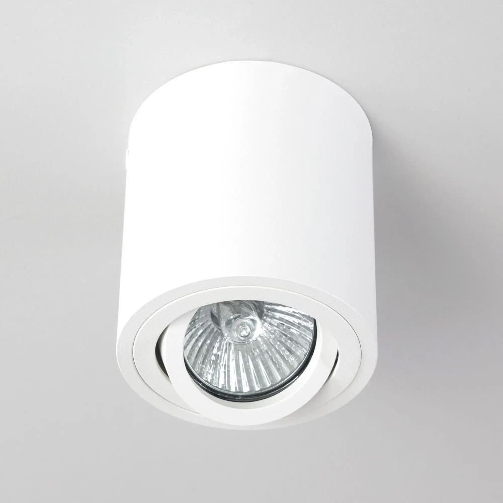 Citilux Дюрен CL538111 Светильник накладной поворотный Белый