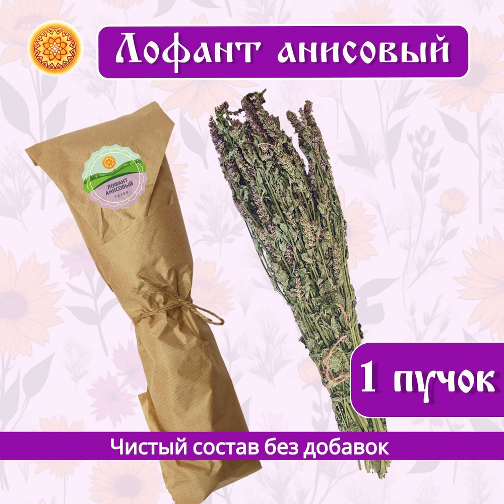 Лофант анисовый пучок.