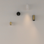 Настенный светильник (бра) Maytoni C078WL-L3BBS3K