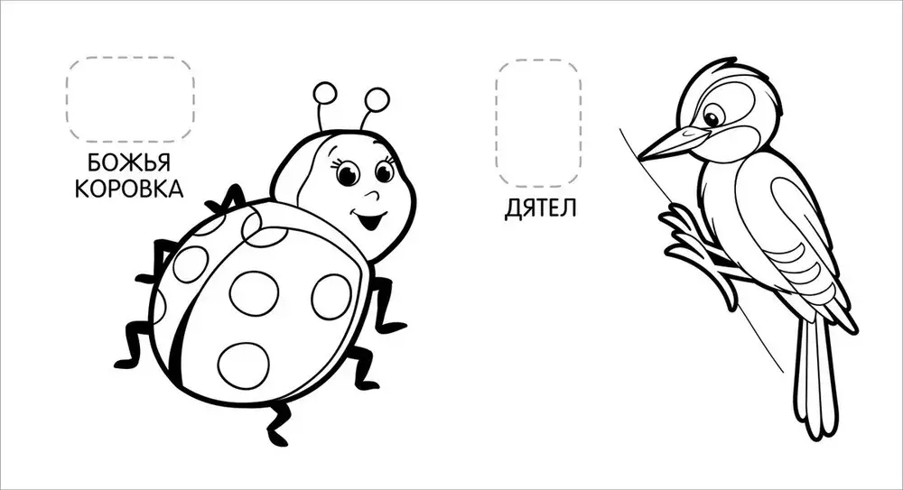 Животные в лесу