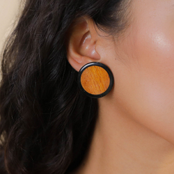 Серьги Nature Bijoux, Cannelle, с рогом и деревом байонг, NB26.1-12-90613 (коричневый)