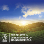 Garden of Life, Olde World®, жир печени исландской трески, лимон и мята, 236 мл (8 жидк. унций)