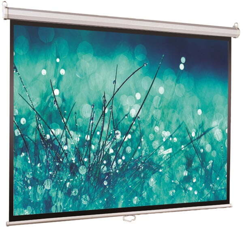Экран  Viewscreen Scroll WSC-1102