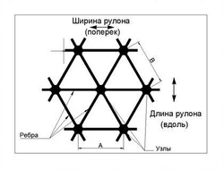 Триаксиальная (гексагональная) плоская трёхосная георешётка ТХ-180 (4х50 м), м2