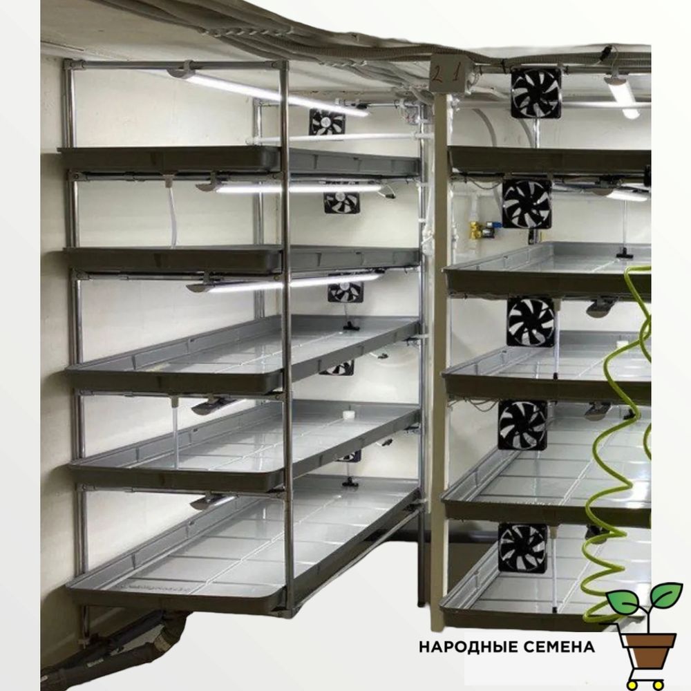 Гидропонная установка HydroBoss