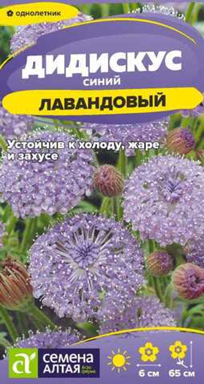 Дидискус лавандовый 0,05 гр (Семена Алтая)