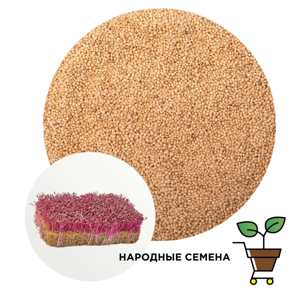 Амарант Рубин