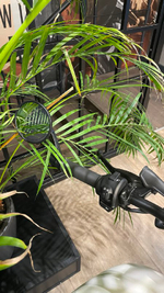 Harley-Davidson Street ROD 2017