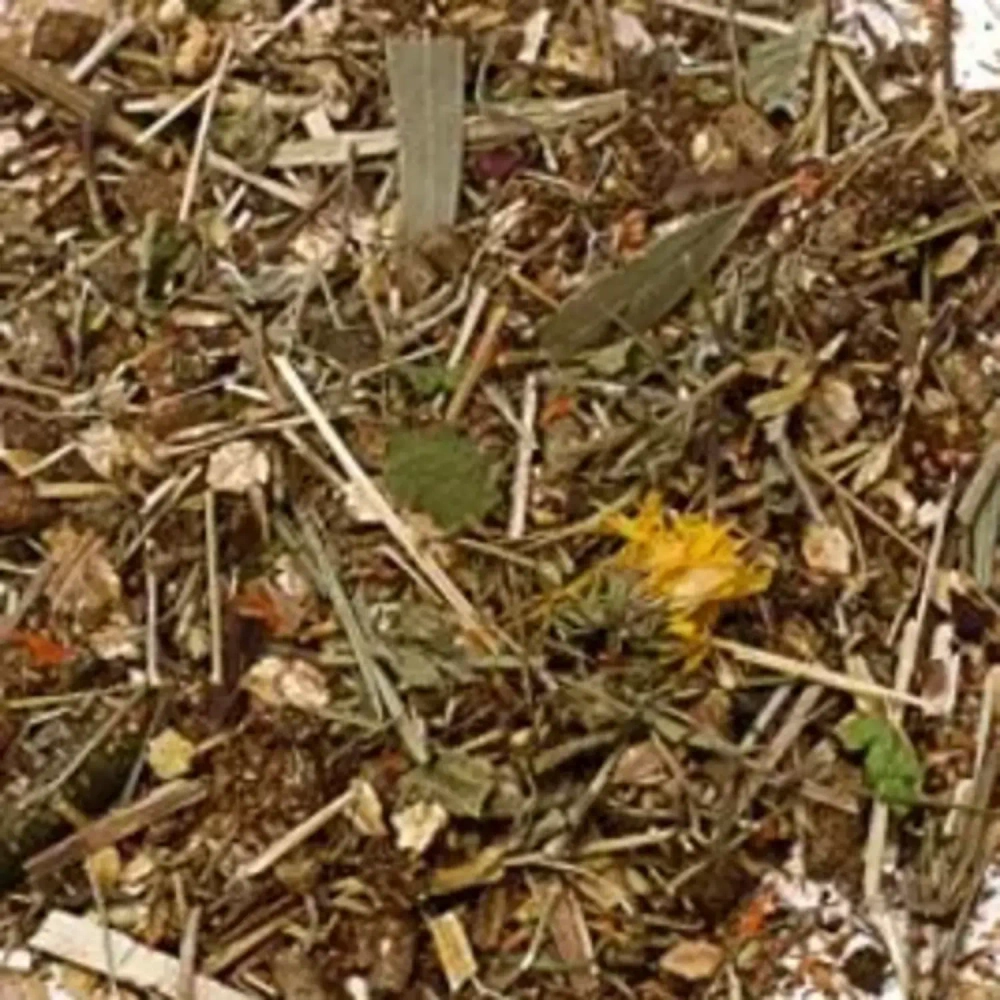 Гастритный Сбор