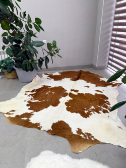 Коровья шкура на пол натуральная.