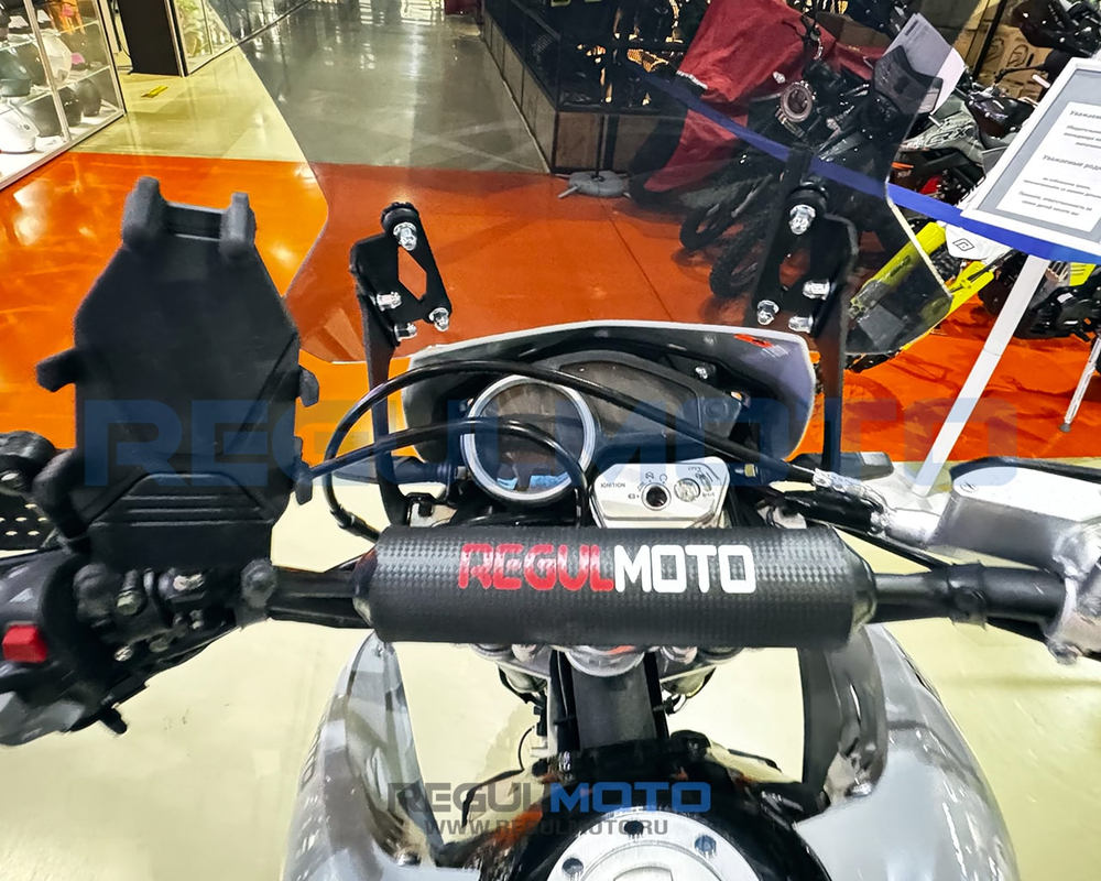 Мотоцикл Regulmoto TE PRO NB300 с ПТС
