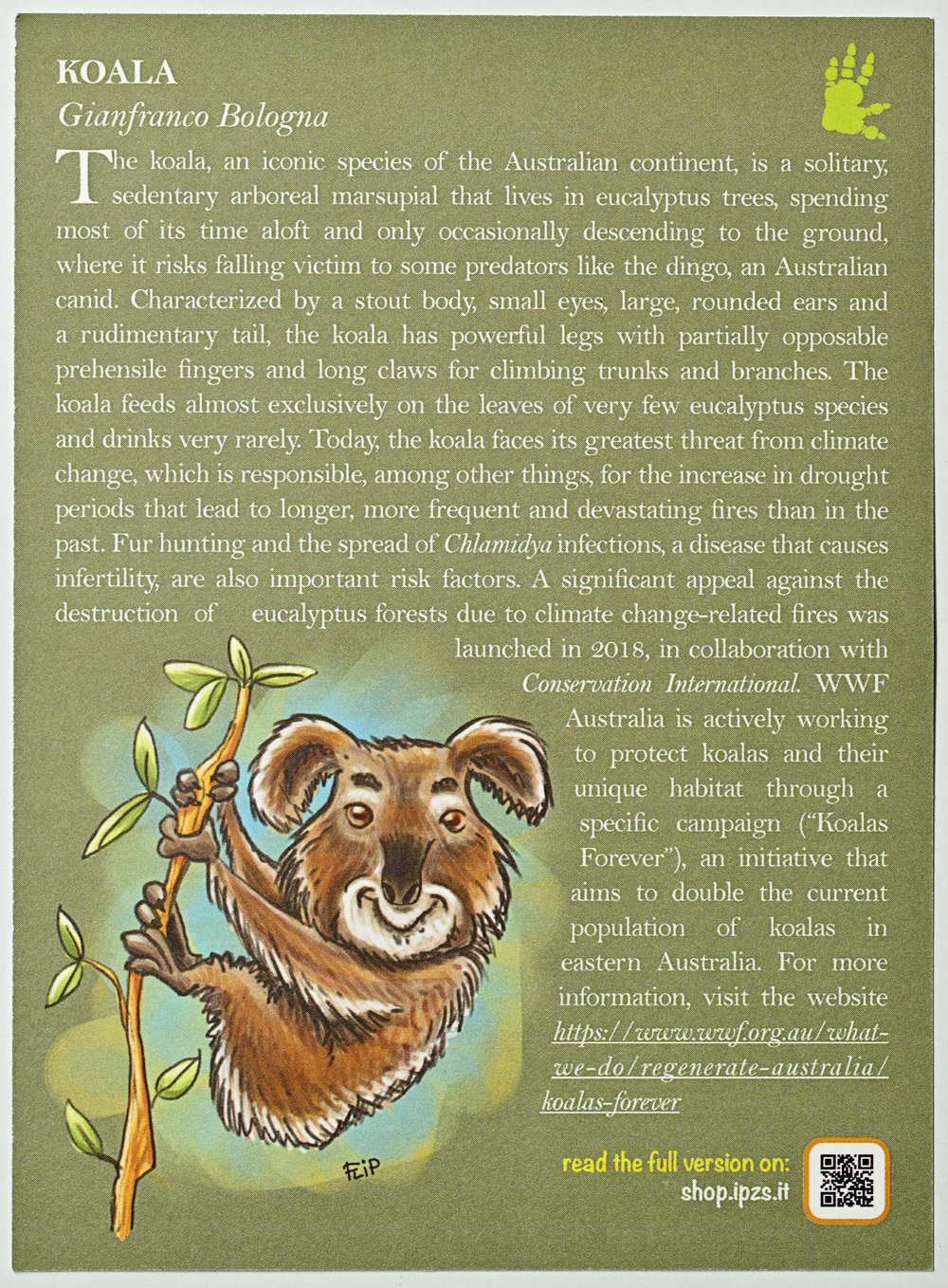 ИТАЛИЯ, 2024, 5 ЕВРО