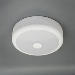 Citilux Фостер-1 CL706110 LED Светильник с диммером Белый