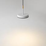 Подвесной светильник Maytoni MOD041PL-L15WG3K