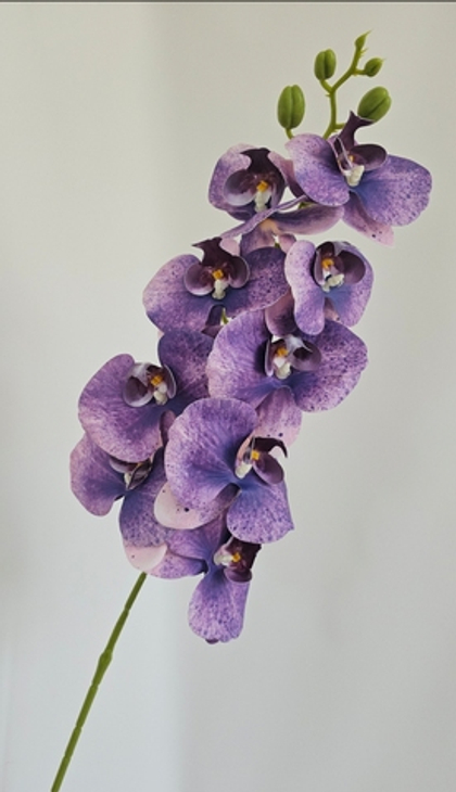 Орхидея / Арт 2234