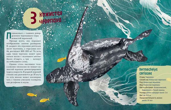 Черепахи. Великолепная десятка