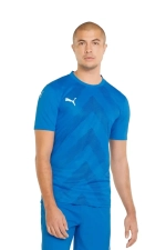 Футболка Puma teamGLORY