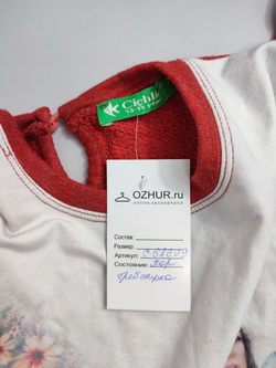 Свитшот Cichlid стильный на 13/14 лет