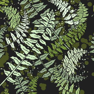 Листья папоротника