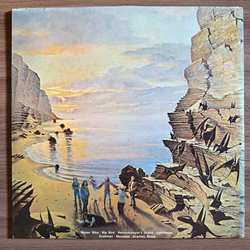 Виниловая пластинка The Flock – Dinosaur Swamps LP
