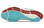 Кроссовки Nike Pegasus 38 Air Zoom