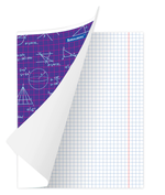 Тетрадь 24 л. BRAUBERG, клетка, обложка картон, ЧЕРТЕЖИ И ФОРМУЛЫ, 403008