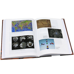 Обитаемый остров Земля