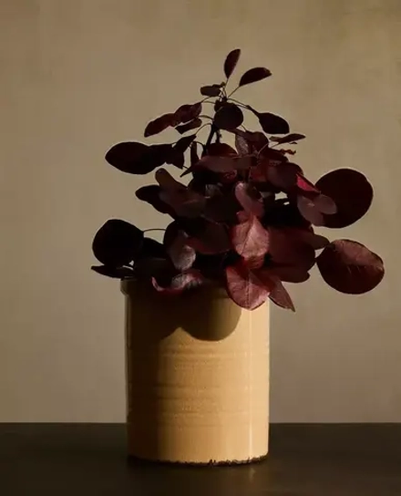 ZARA HOME КЕРАМИЧЕСКАЯ ВАЗА, БЕЖЕВЫЙ