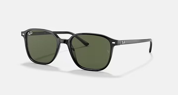 RAY-BAN LEONARD RB2193 901/31